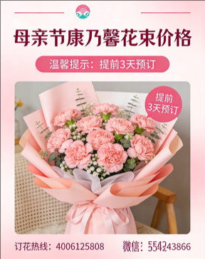 南昌西湖区花店母亲节康乃馨花束