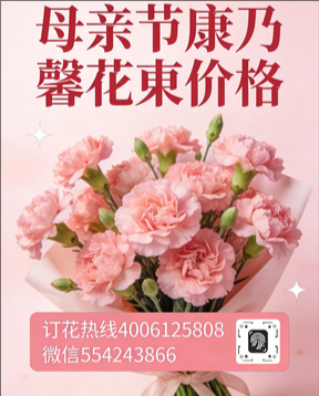 南昌西湖区花店母亲节康乃馨花束
